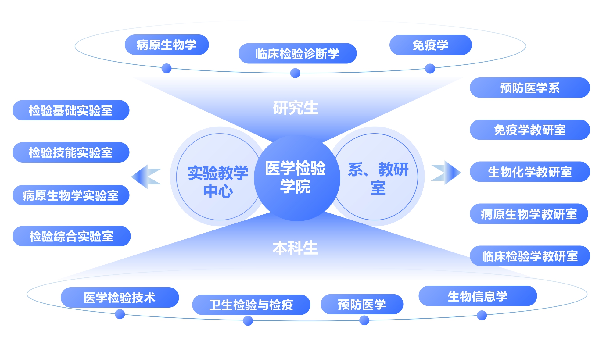 医学检验学院架构图 (1)_page-0001.jpg